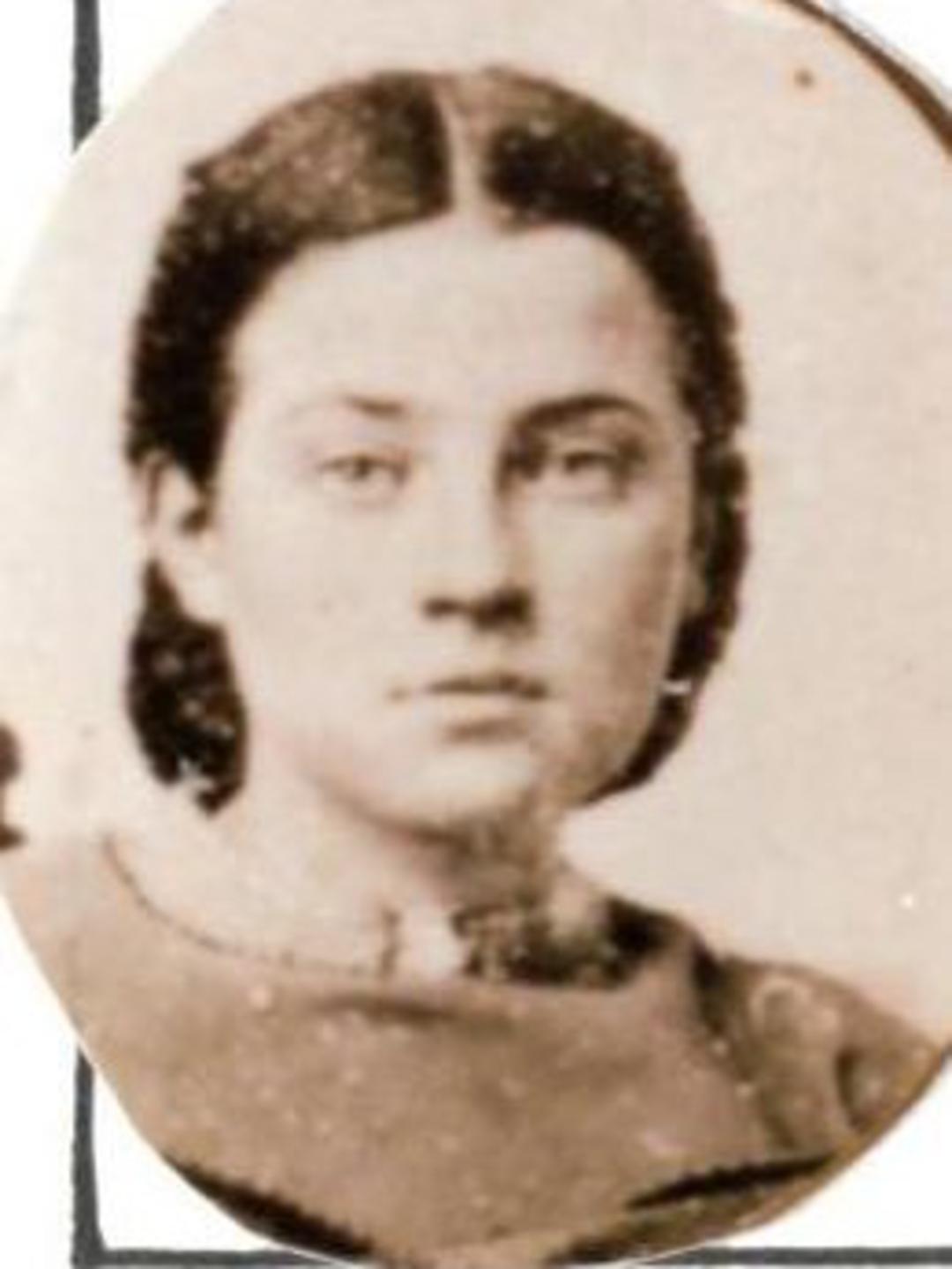 Mary Newton (1850 - 1920) Profile